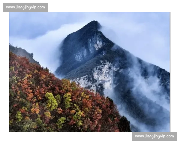 辽宁摄影大赛精彩瞬呈，记录时代风采与美丽瞬间